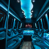 best party bus for 14 people