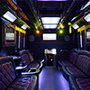 30 passenger party bus