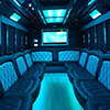  luxury bus